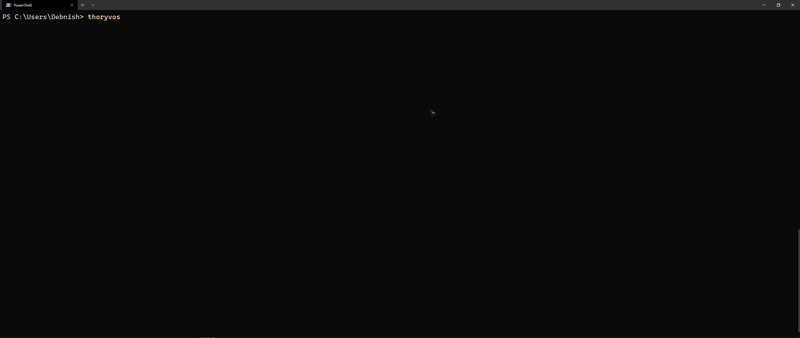 THOR𝜓VOS - THE ALL-IN-ONE CRYPTOGRAPHIC TOOLKIT